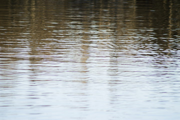 Fototapeta na wymiar Lake water with defocused reflected trees
