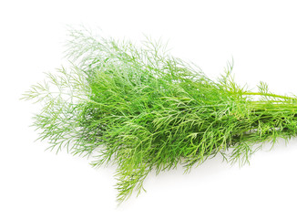 Bunch of green dill.