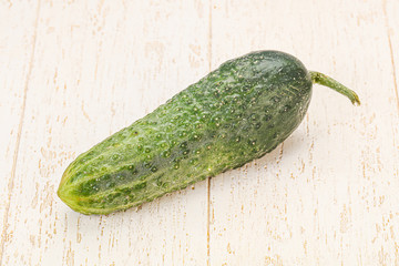 Green ripe fresh cucumber over background