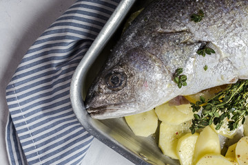 Fresh raw sea bass fish prepared for roasting with potatoes