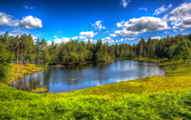 The Lake District National Park England Tarn Hows near Hawkshead with trees in colourful HDR - obrazy, fototapety, plakaty