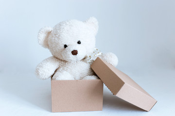 soft toy with an envelope on a white background, soft toy in a box 