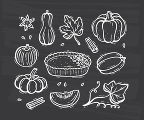 Vector Food. Autumn Harvest symbols. Hand Drawn Doodle Pumpkin Pie, Vegetables, Different Varieties of Pumpkins, Spices, Leaves. Happy Thanksgiving Day Greeting card template