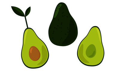 Vector image with avocado. 