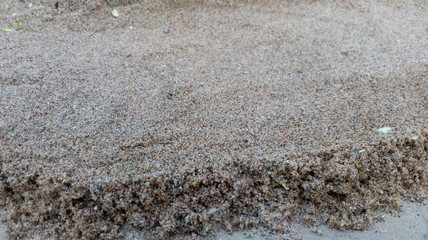 beach in the morning