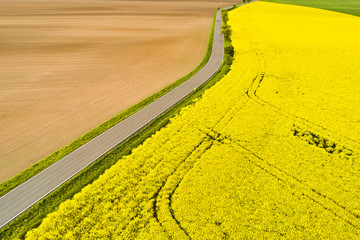 Panoramic view of a highway road between an empty brown and a bright yellow rapeseed field. Biofuel production concept with copy space