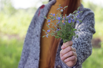 A girl with long red hair in a gray coat and yellow sweater holds blue spring flowers in her hand. Delicate flowers veronica filiformis, background
