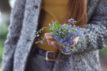 A girl with long red hair in a gray coat and yellow sweater holds blue spring flowers in her hand. Delicate flowers veronica filiformis, background