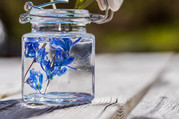 Glass bottle with blue flowers and water in standing on a wooden table during the summer