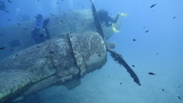 exploring underwater air plane wreck fish around ocean scenery of airplane for scuba divers to discover