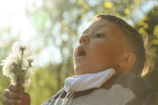 A boy taking deep breath and preapering to blows bunch of dandelions. Backlit photo.