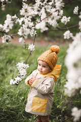A cute one-year-old boy stands near a blooming Apple tree in