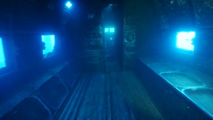 exploring underwater air plane wreck fish around ocean scenery of airplane for scuba divers to discover