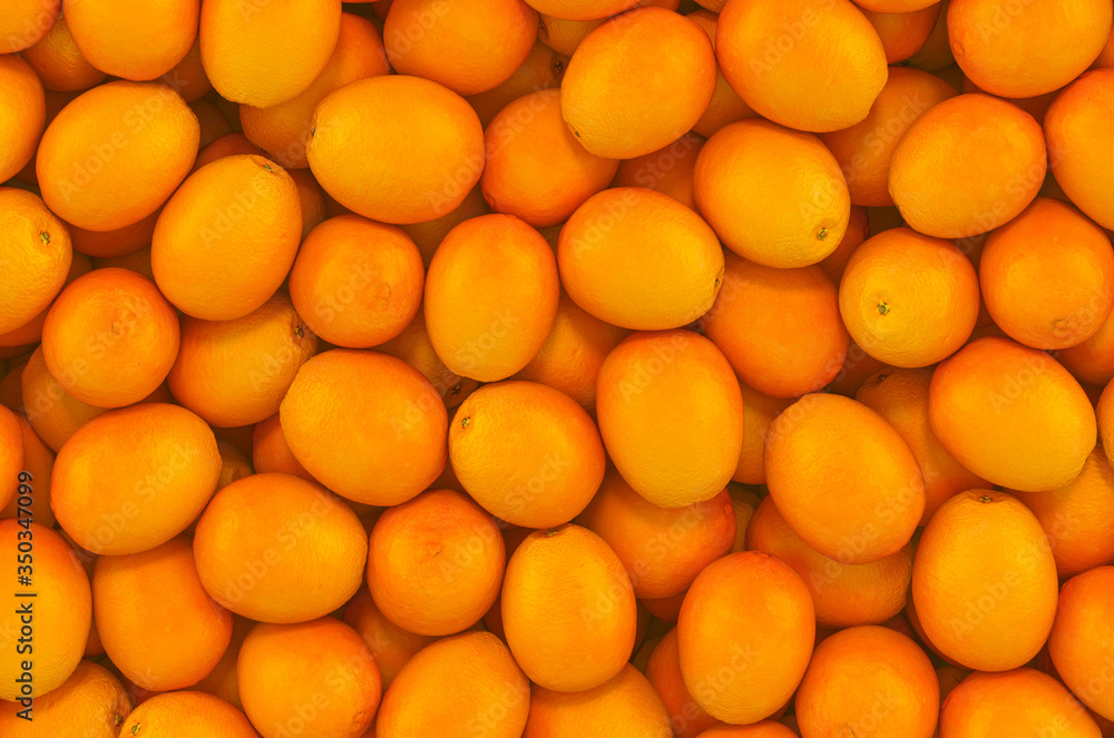 Poster background from oranges, top view. 3d rendering
