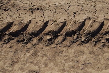 Campo santiago del estero