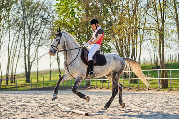 Girl equestrian rider riding a beautiful horse  in the rays of the setting sun. Horse theme