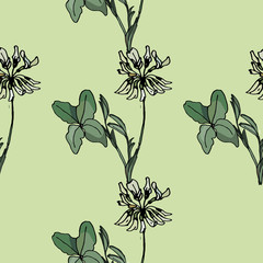 seamless background of white clover twigs and flowers  isolated images, Doodle, hand drawing