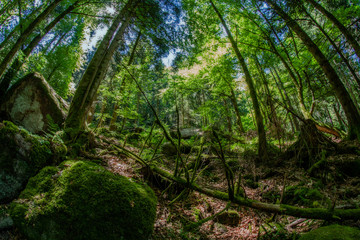 Gertelsbacher Wasserfälle 9
