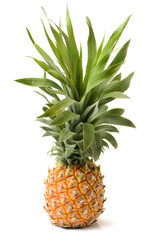 Pineapple on white background