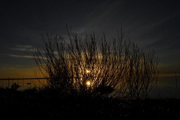 atardecer sol