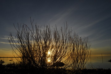atardecer sol