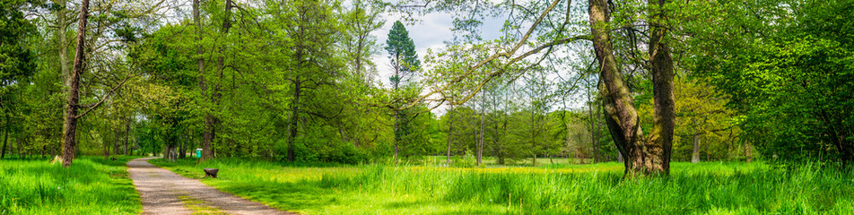 Obraz premium road in the park on a beautiful sunny day