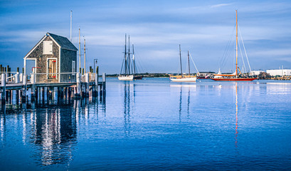 Sailboats on the blue water at Vineyard Haven