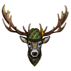 Deer portrait. Head of wild animal. Austrian bavarian tirol hat. Beer festival. Oktoberfest. - obrazy, fototapety, plakaty