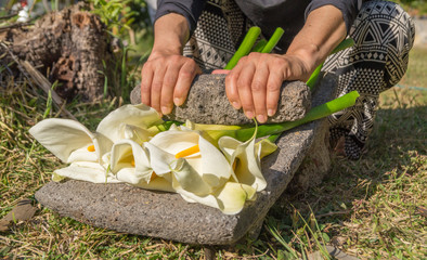 Mujer moliendo flores en un metate con mano de metate