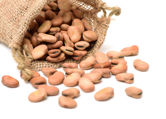 Fava beans,Vicia faba on white background
