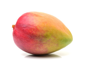 mangos on a white background 