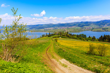 Rural road at Czorsztynskie lake near Falsztyn village on sunny spring day, Pieniny Mountains, Poland