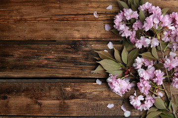 Sakura tree branch with beautiful blossom on wooden background, space for text. Japanese cherry