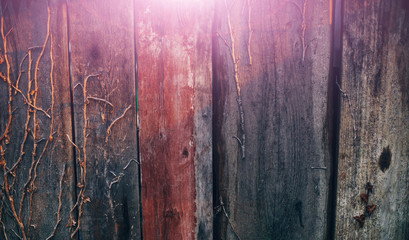 old wood background