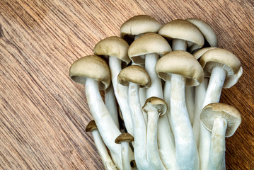 Brown beech mushrooms on a wooden table close up. © mscornelius