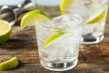 Refreshing Boozy Gin and Tonic