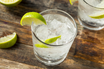 Refreshing Boozy Gin and Tonic