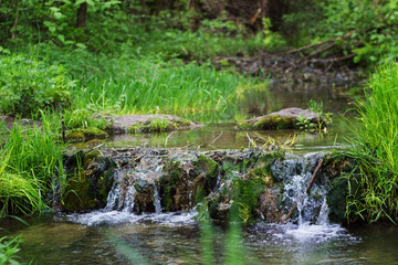 Clean mountain river in the green grass in summer