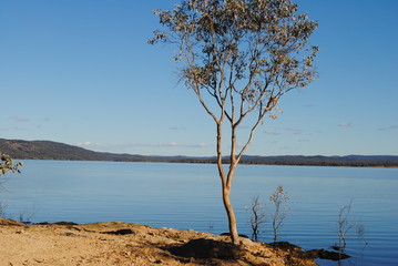 Lake copeton