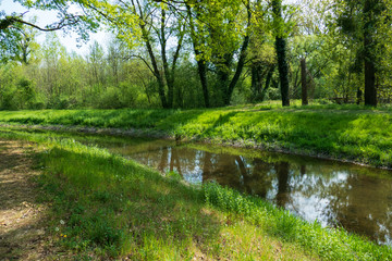 Altrhein, Rhein Aue Flu&szlig; Landschaft bei Iffezheim
