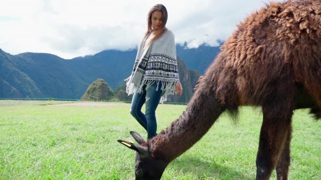 Slow motion of young woman looking at llama grazing on grassland against mountains during sunny day - Machu Picchu, Peru