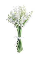 Beautiful lily of the valley flowers isolated on white