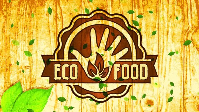 vegan eco nutrient round woodcut icon on wooden surface scene advocating for health and clever diets