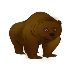 Bear vector