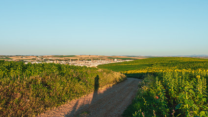 Écija, la sartén de Andalucía