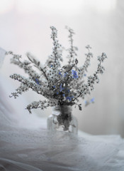 White and blue flowers bouquet. Transparent clear glass jar. Grey background.