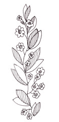 graphic black and white drawing twig with narrow leaves and small flowers