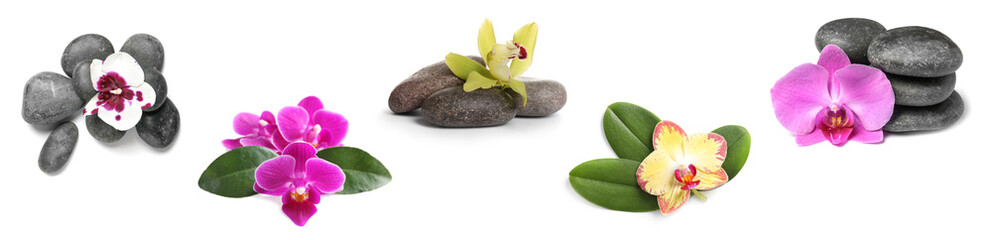 Naklejka premium Set of beautiful orchid flowers with leaves and stones on white background. Banner design