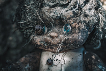 Art-photo. The head of an old abandoned doll in the forest.