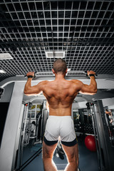 Fototapeta na wymiar An athlete performs pull-UPS in the gym. Fitness, bodybuilding